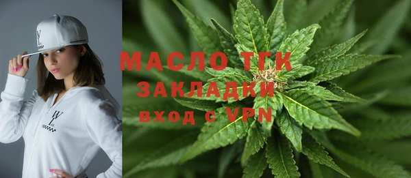 индика Володарск