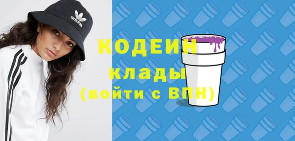 индика Володарск