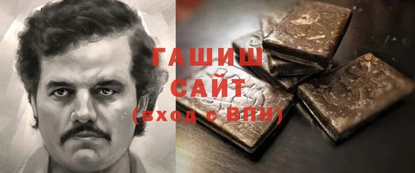 индика Володарск