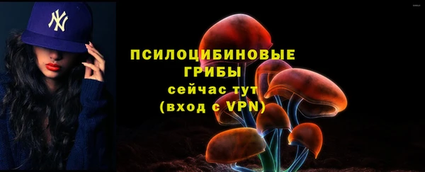 индика Володарск