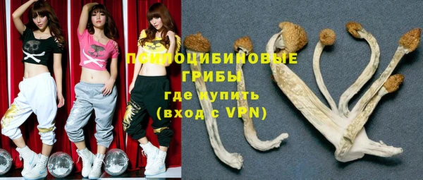 дживик Корсаков