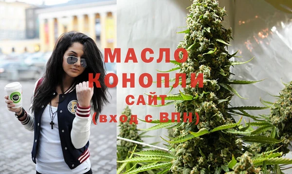 индика Володарск